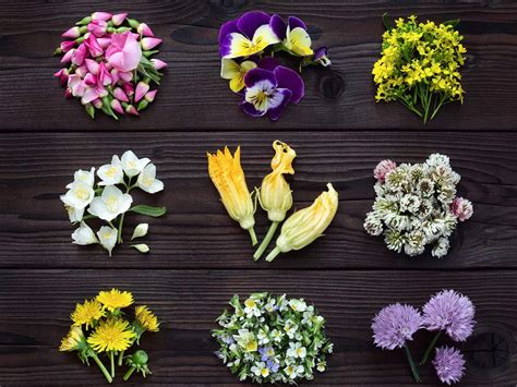 Are Dill Flowers Edible? Exploring the Culinary and Medicinal Uses of Dill Blossoms