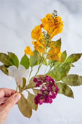 Can You Press Already Dried Flowers? And Why Do They Still Hold Secrets?