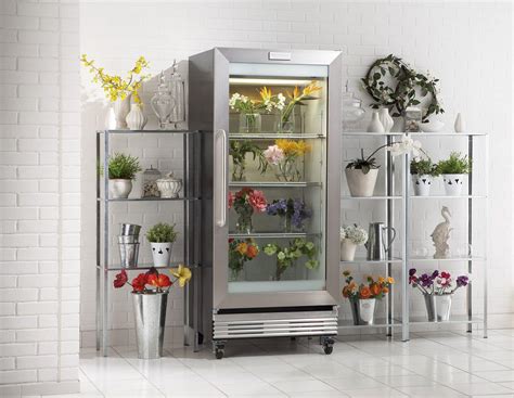 Can You Put Flowers in the Fridge, or Should We Just Let Them Dance with the Butter?