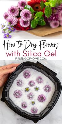 How Long Do Silica Gel Flowers Last: A Journey Through Time and Preservation