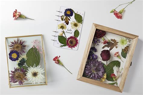 How to Preserve Flowers in Resin: A Timeless Art and Its Unexpected Connections to Modern Life