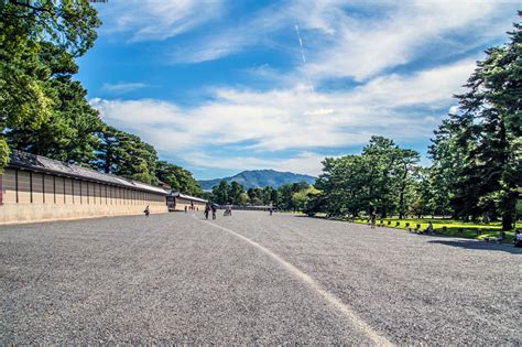 京都御苑 駐車場 そして、なぜカラスは駐車場で会議を開くのか？