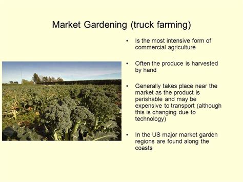 Market Gardening Definition AP Human Geography: Cultivating Connections Beyond the Soil