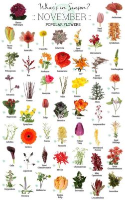 What Flowers Are in Season in April: A Kaleidoscope of Colors and Fragrances