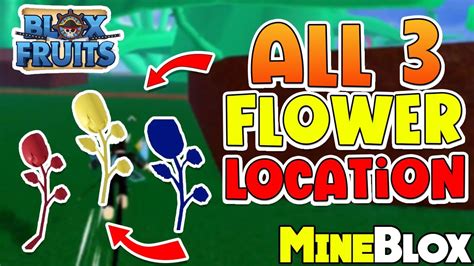 Where Are All the Flowers in Blox Fruits, and Why Do They Seem to Vanish Like a Pirate's Treasure?