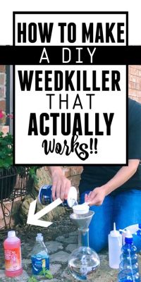 Will Weed Killer Kill Flowers? Exploring the Paradox of Garden Chemistry